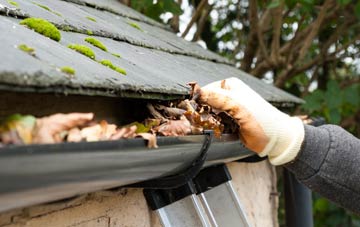 gutter cleaning Hamilton, South Lanarkshire