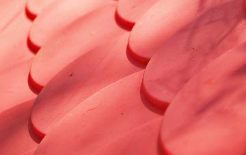 Hamilton plastic roof costs